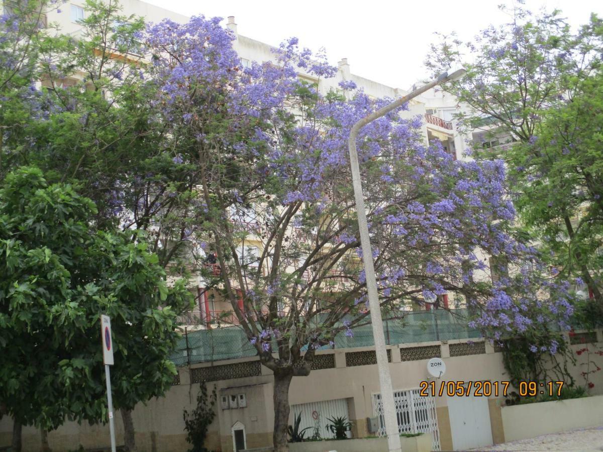 Edificio Caique C Lejlighed Armação de Pêra Eksteriør billede